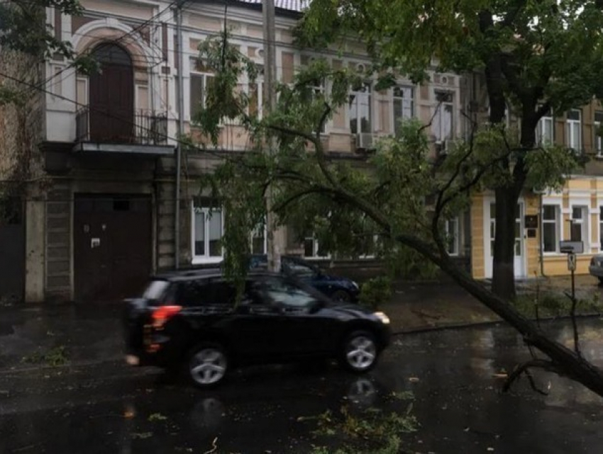 Чудовищные последствия стихии в Кишиневе: две сотни поваленных деревьев, эвакуированные машины, оборванные провода 