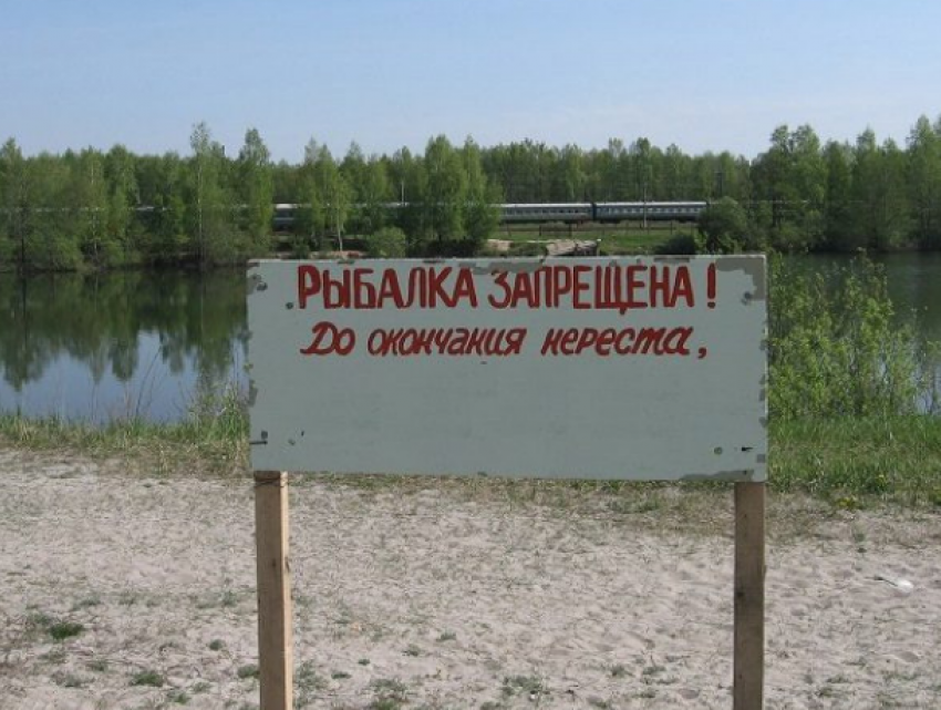 Где в Молдове нельзя рыбачить в период нереста? Любителей рыбалки ждут огромные штрафы