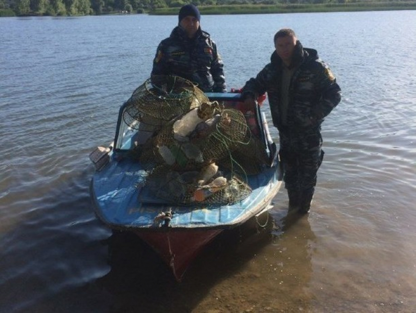 Жадных молдавских рыбаков наказали инспекторы