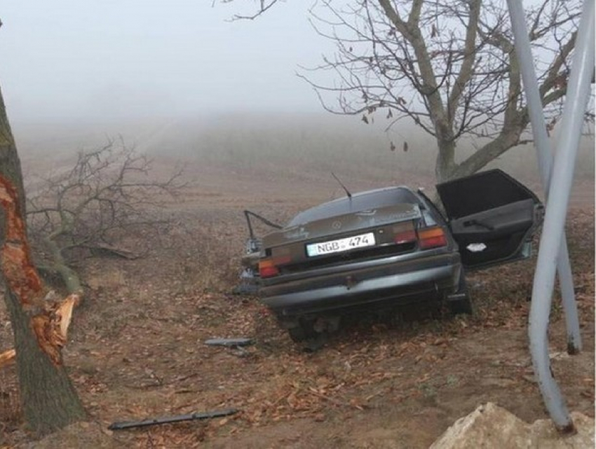 Автомобиль врезался в дерево в Каушанском районе: два человека погибли 