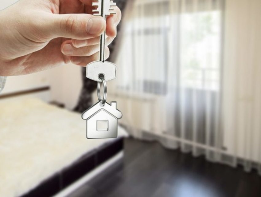 Тысячи договоров и миллионы леев: как аренда пополняет бюджет Молдовы