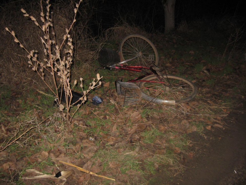 В Каушанском районе пьяный водитель сбил насмерть велосипедистку
