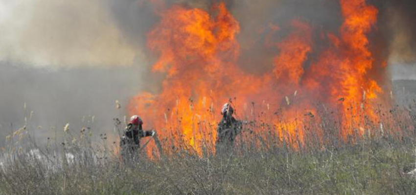 В Молдове объявлена повышенная пожароопасность 