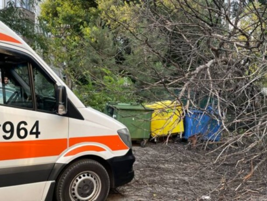 Сильный ветер повалил дерево на женщину в Кишиневе 