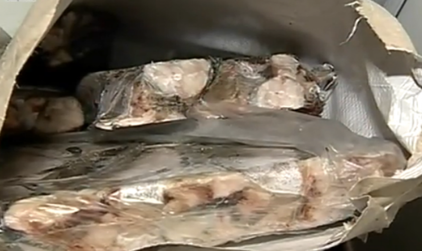 История повторяется: Испорченную рыбу доставили в детский сад в Тогатино 