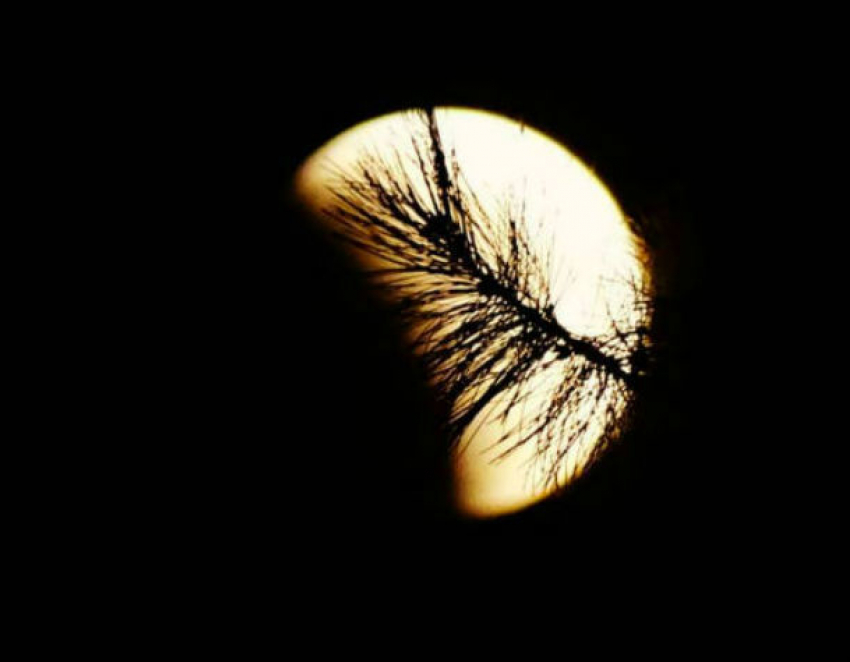 Уникальное лунное затмение сняли на фото и видео потрясенные жители Кишинева 