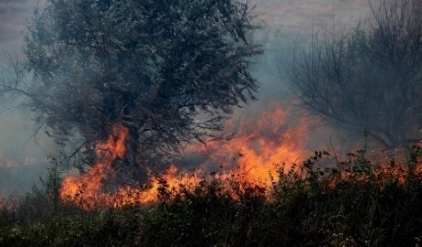 В Кишиневе две семьи были эвакуированы из-за возгорания растительности