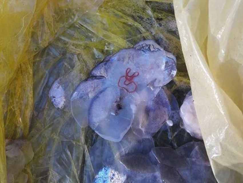 Продажа зараженной гельминтами свежей рыбы на рынке возмутила жительницу столицы