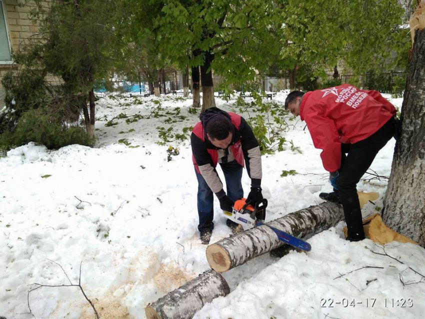 Социалисты проведут Единый день благоустройства территории