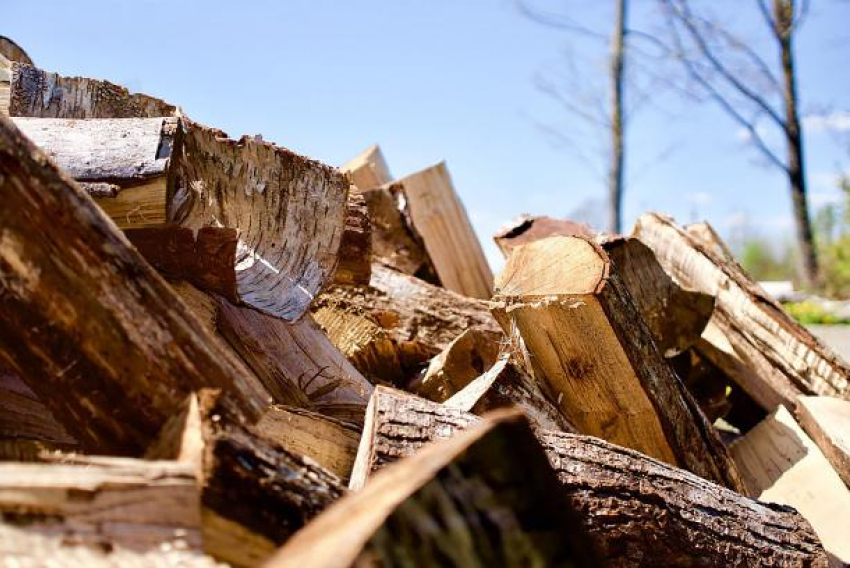 Хаждер: запасов дров в Молдове достаточно, повышения цен этой зимой не будет