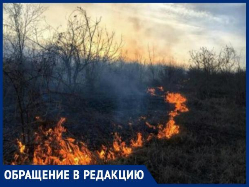 В Тараклийском районе горит растительность