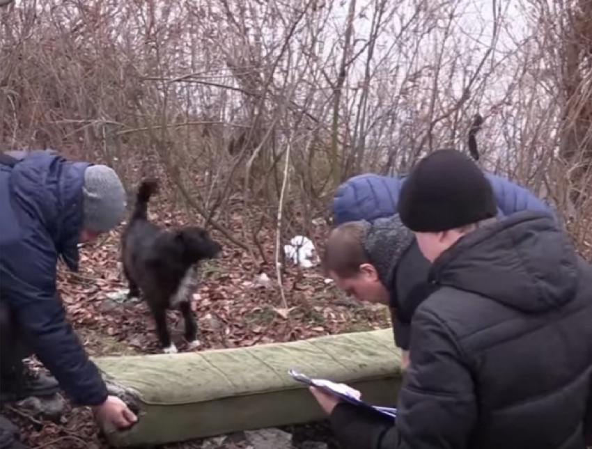 Тройное убийство: украинец зарубил топором обидчиков и зарезал мать преступника