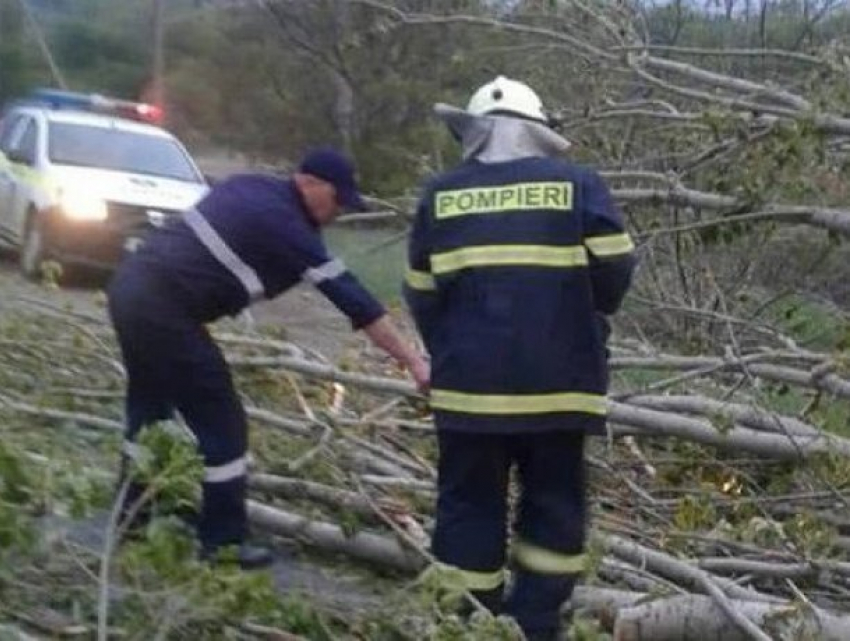 Грозовые ливни с градом и шквальным ветром нанесли сильный удар по северу Молдовы