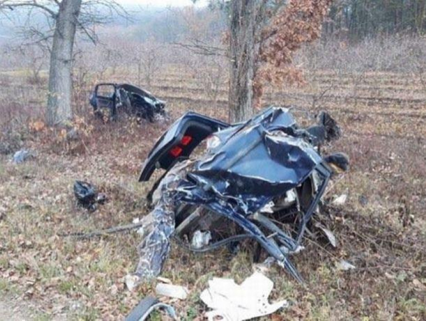 В Окницком районе погиб 41-летний мужчина - BMW после удара от дерева превратилась в несколько обломков металла