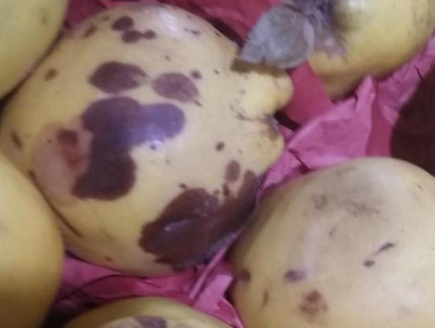 Горы испорченных фруктов и овощей обнаружили в супермаркетах Кишинева и Бельц