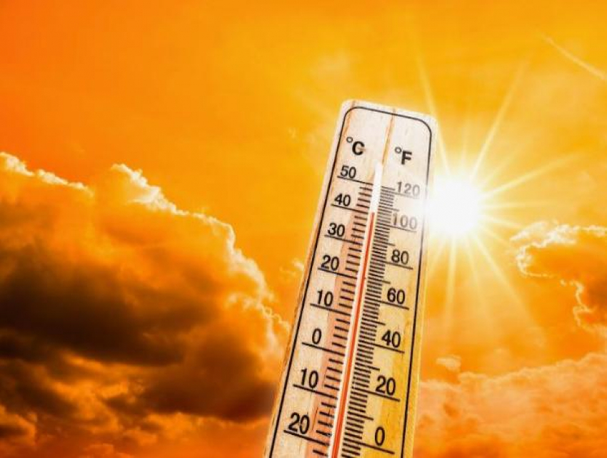 2023 год станет самым теплым за 125 000 лет