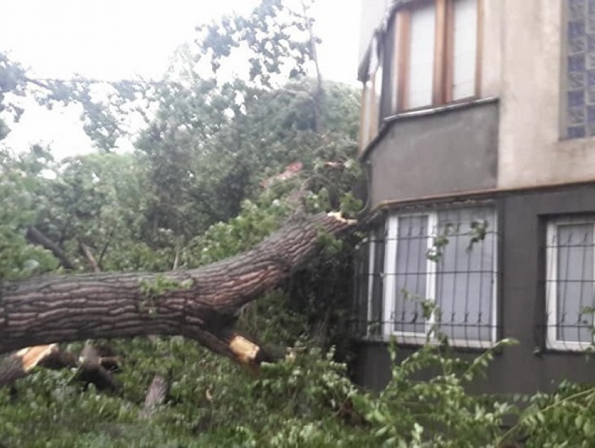 На Кишинев надвигается сильнейший шквалистый  ветер