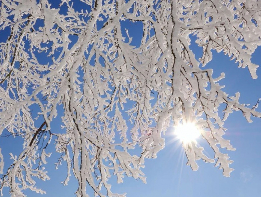Минувшая ночь стала самой холодной для Молдовы текущей зимой