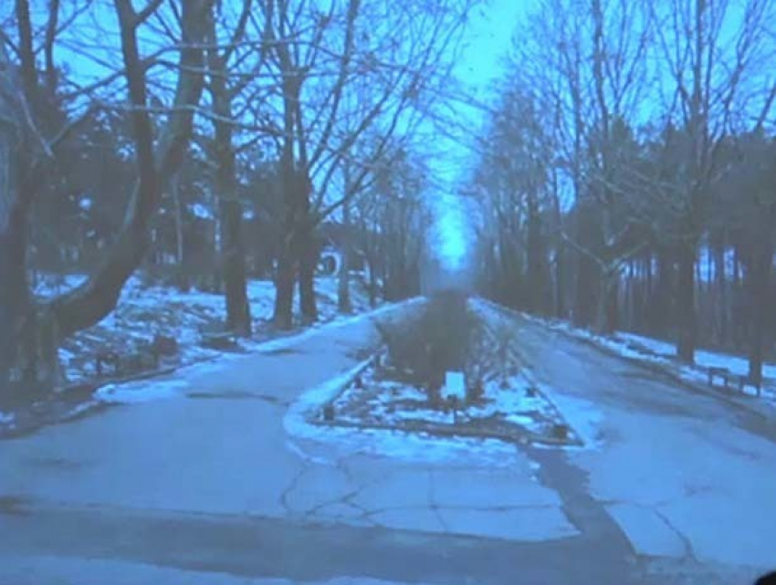 Столичные власти выделили 14 миллионов леев на реконструкцию парка «Долина роз"