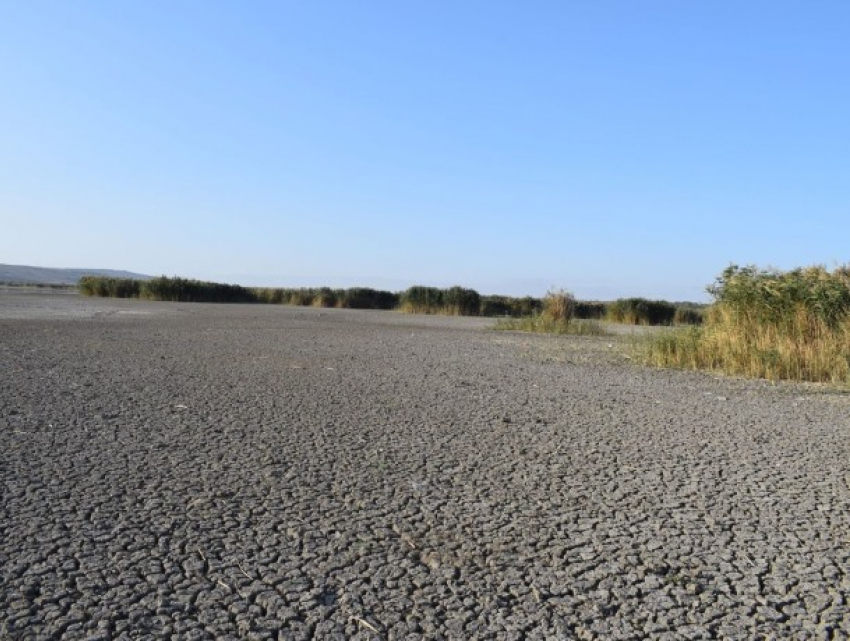 В Конгазе высохло озеро - и это не первая экологическая катастрофа на юге Молдовы