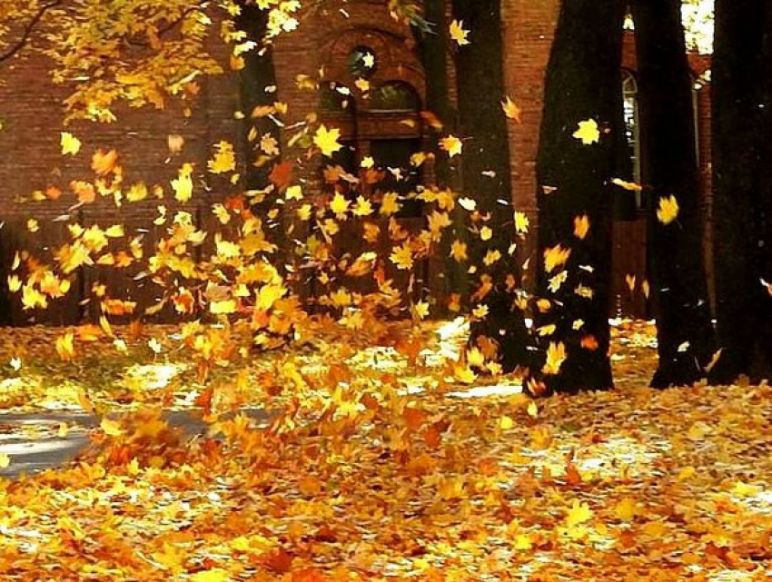 Ураганный ветер обрушится на Молдову в четверг: объявлен желтый код метеоопасности 