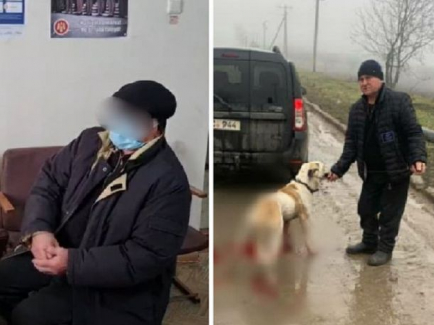 "Я больше не буду". Мужчину-живодера из Трушен вызвали в полицию, и он не смог внятно объяснить причины своего жестокого отношения к собаке