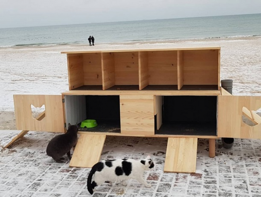 В Одессе на пляже построили двухэтажный дом для котов