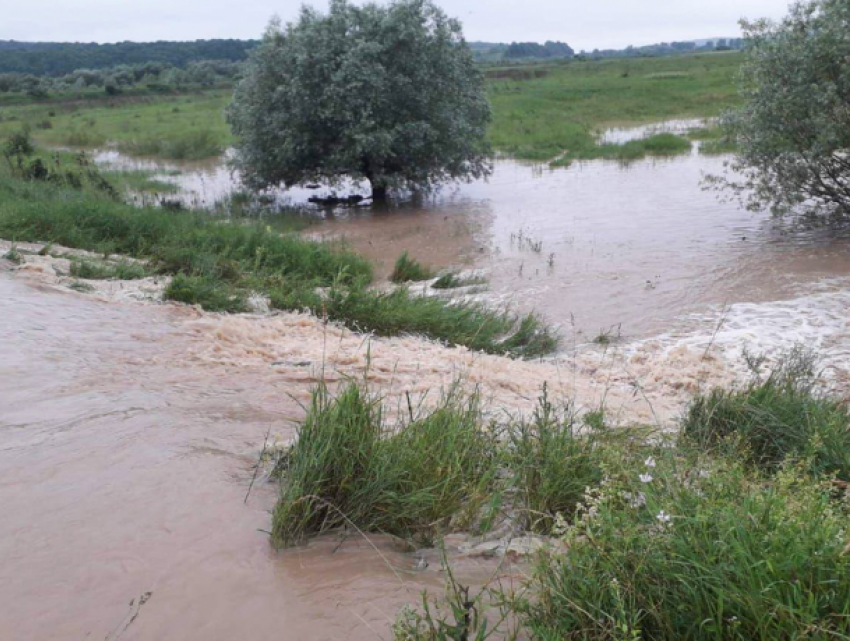 Двое жителей Каушан затопили собственные сельхозугодья ради денег