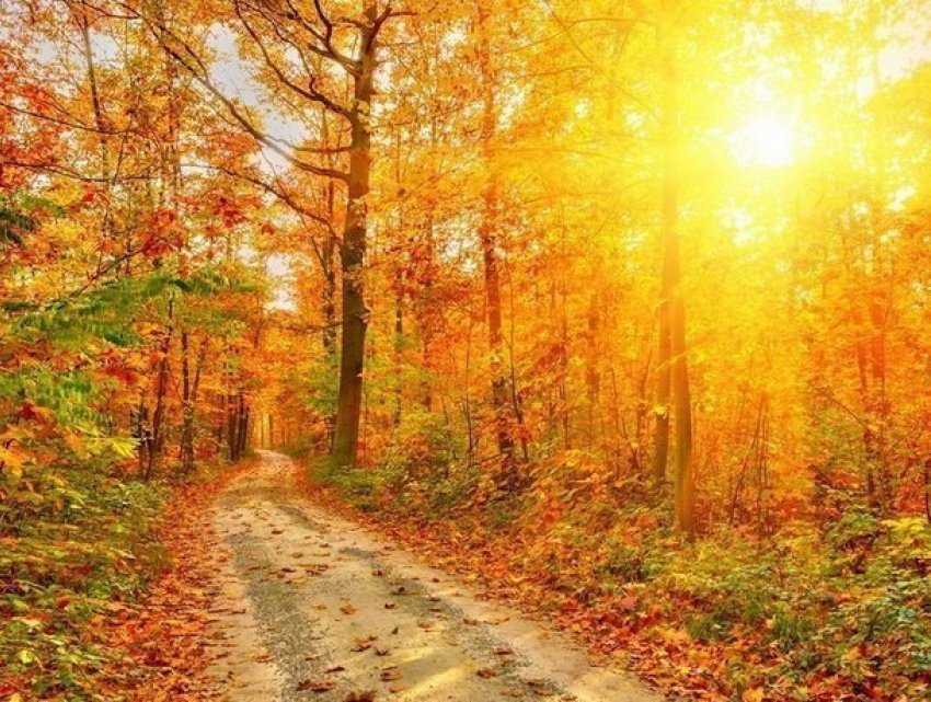 Выходные порадуют жителей Молдовы прекрасной солнечной погодой