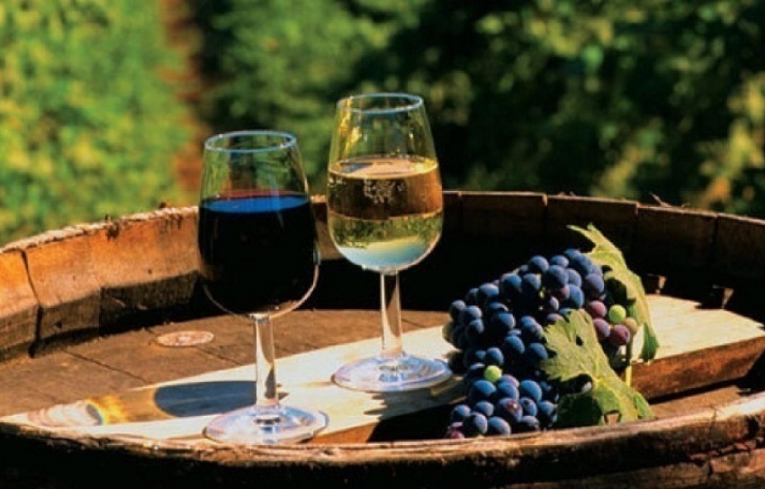 На праздновании Дня вина можно будет пройти тест на содержание алкоголя