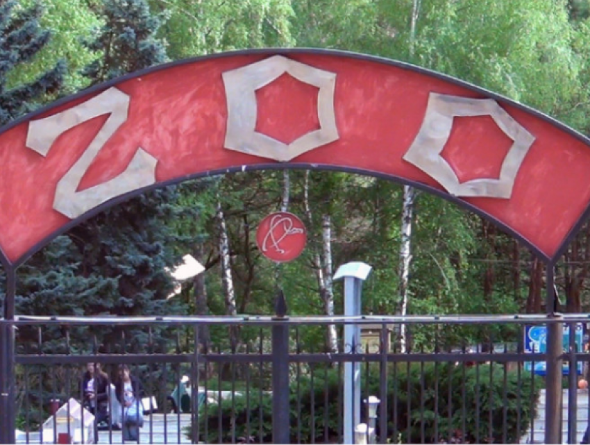 1 июня детки смогут бесплатно посетить столичный Зоопарк