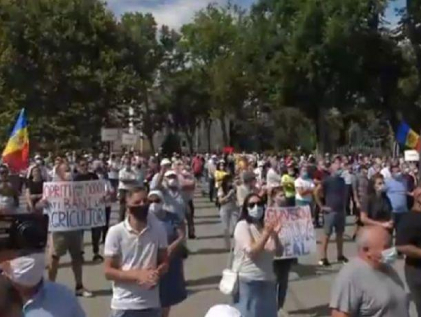 Богдан Цырдя высмеял протест Санду, с ним согласились и жители столицы