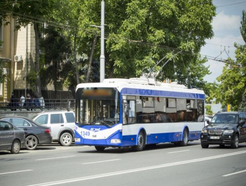 На общественном транспорте без пробок: улицы, на которых полосы появятся только для автобусов и троллейбусов