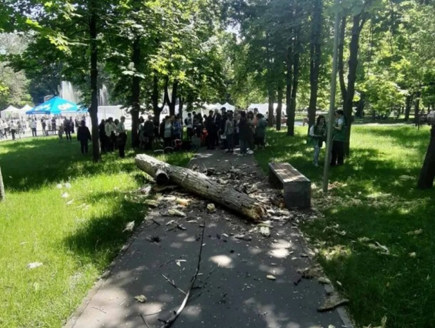 Первый комментарий Чебана. Страшная трагедия в Кишиневе: в столичном парке погибла двухлетняя девочка