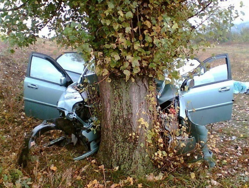 Пассажирка автомобиля, врезавшегося в дерево, погибла от полученных травм 
