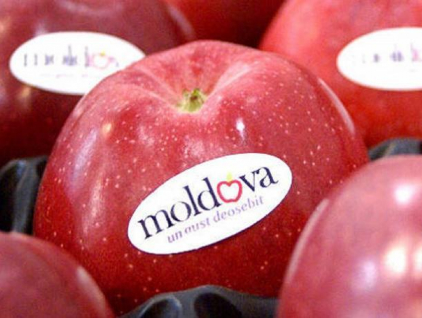 Поставки молдавских яблок в Россию могут быть расширены
