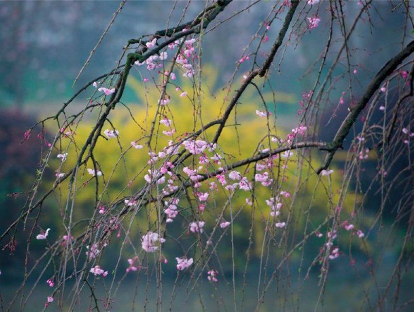 В воскресенье погода изменится – объявлен желтый код предупреждения