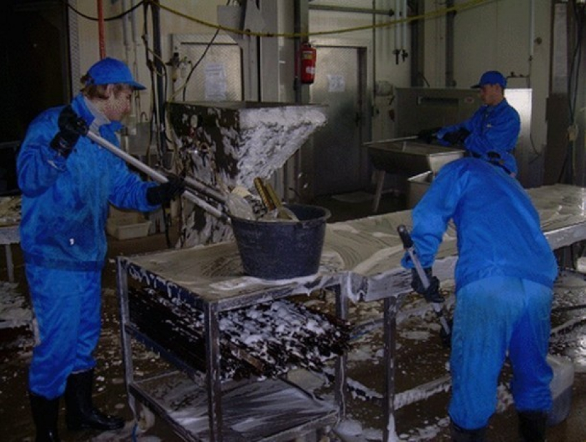 Уборка на пищевом производстве. Дезинфекция дезинсекция дератизация. Цеха дезинфицировать. Дезинфекция на предприятиях общественного питания. Дезинфекция дезинсекция дератизация.