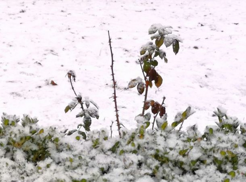 Погода меняется – в выходные в Молдове немного потеплеет 