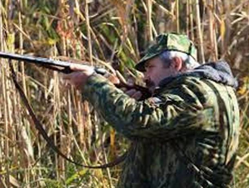 Сбор кукурузы закончился для крестьянина огнестрельной раной