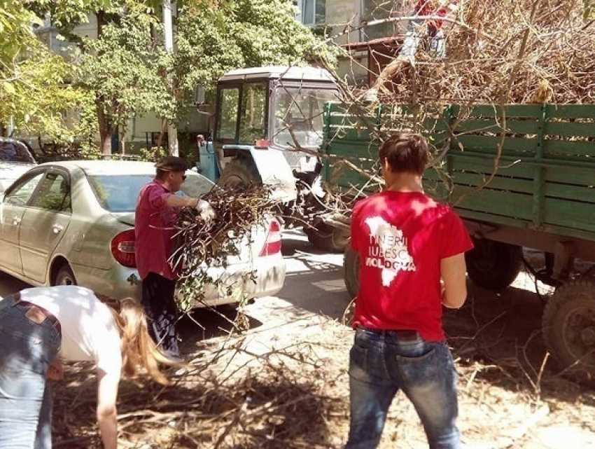 Молодежь Кишинева, не дождавшись Киртоакэ, своими руками навела порядок в нескольких дворах