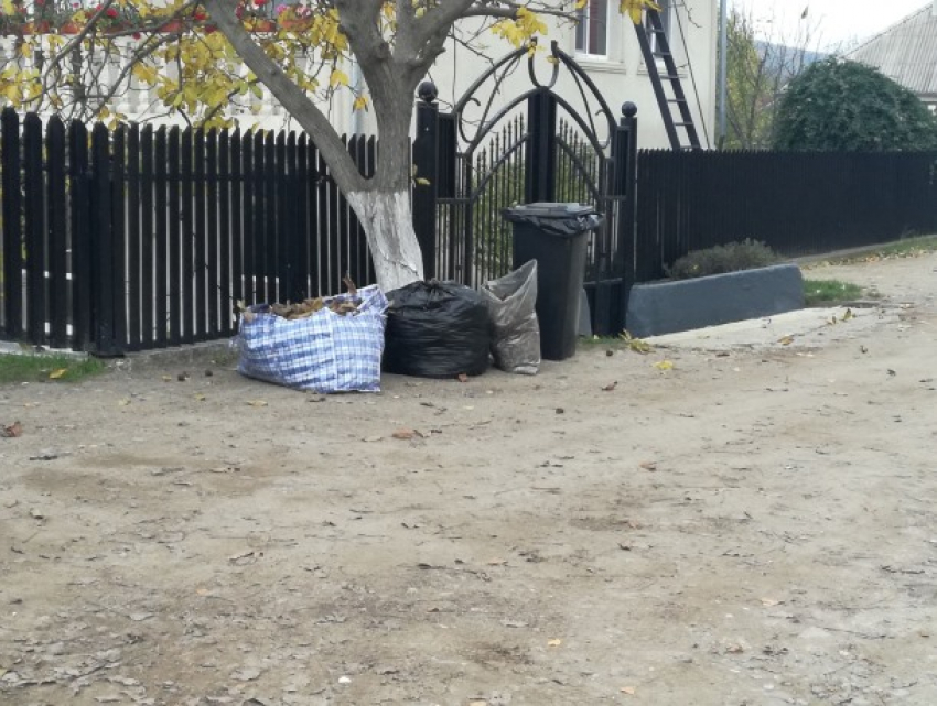 В пригороде Кишинева мусор не убирают неделями