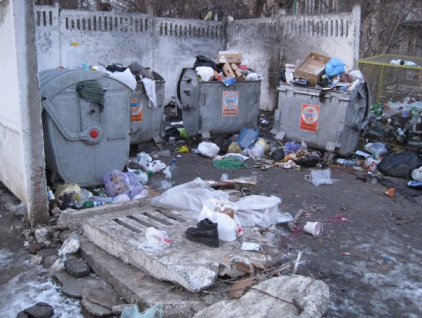 В Кишиневе за мусор на участках экономических агентов теперь грозит штраф