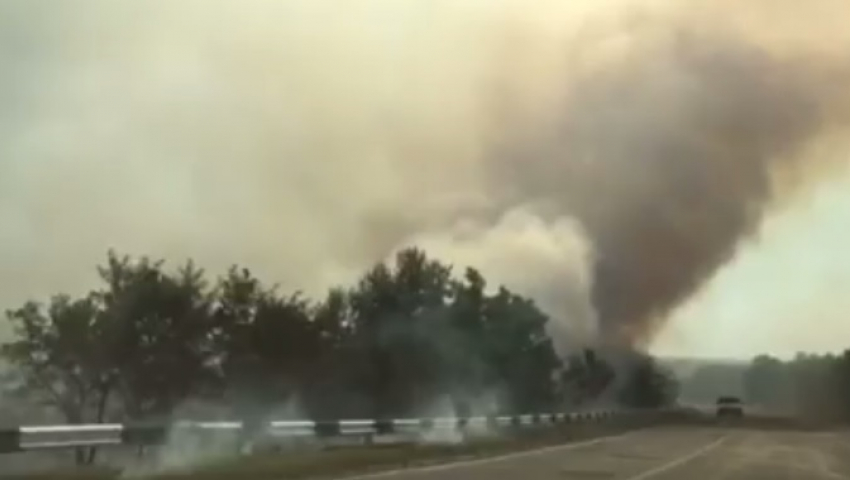 В Молдове участились случаи возгораний растительности 