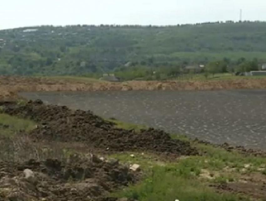 В Новоаненском районе Молдовы назревает экологическая катастрофа из-за горы коровьего навоза