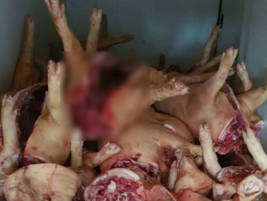 Пять тонн опасной свинины конфисковали в Кишиневе