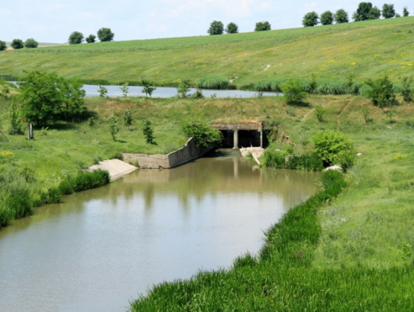 На севере Молдовы в речке нашли тело 8-летнего мальчика