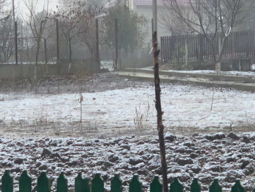 На севере Молдовы выпал первый в этом сезоне снег