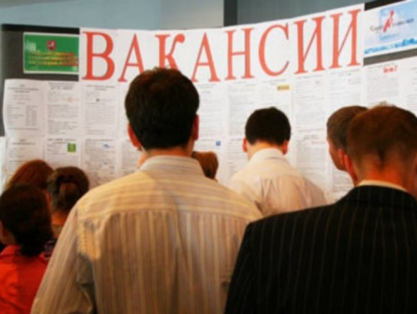 Более 6 тысяч вакансий зарегистрировано в Молдове