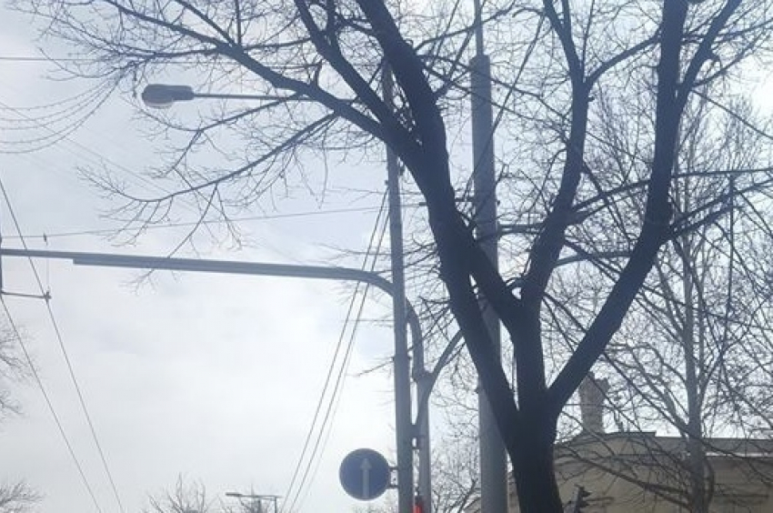 На бульваре Штефана чел Маре запечатлели «секретный светофор"